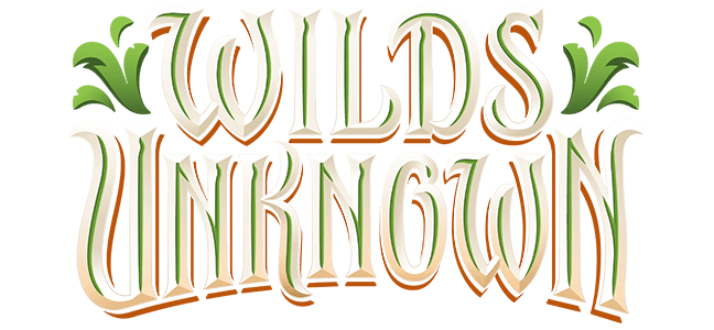 Lorcana's Wild Unknown Release Day